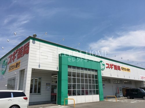 ドラックストア　スギ薬局中島店（ドラッグストア）まで390m