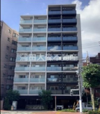 建物外観　2019年9月築　RC鉄筋コンクリート造地上10階建て1K