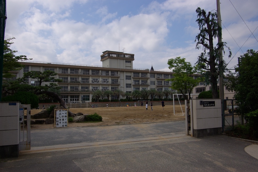 小学校　宝塚市立　長尾南小学校（小学校）まで534m