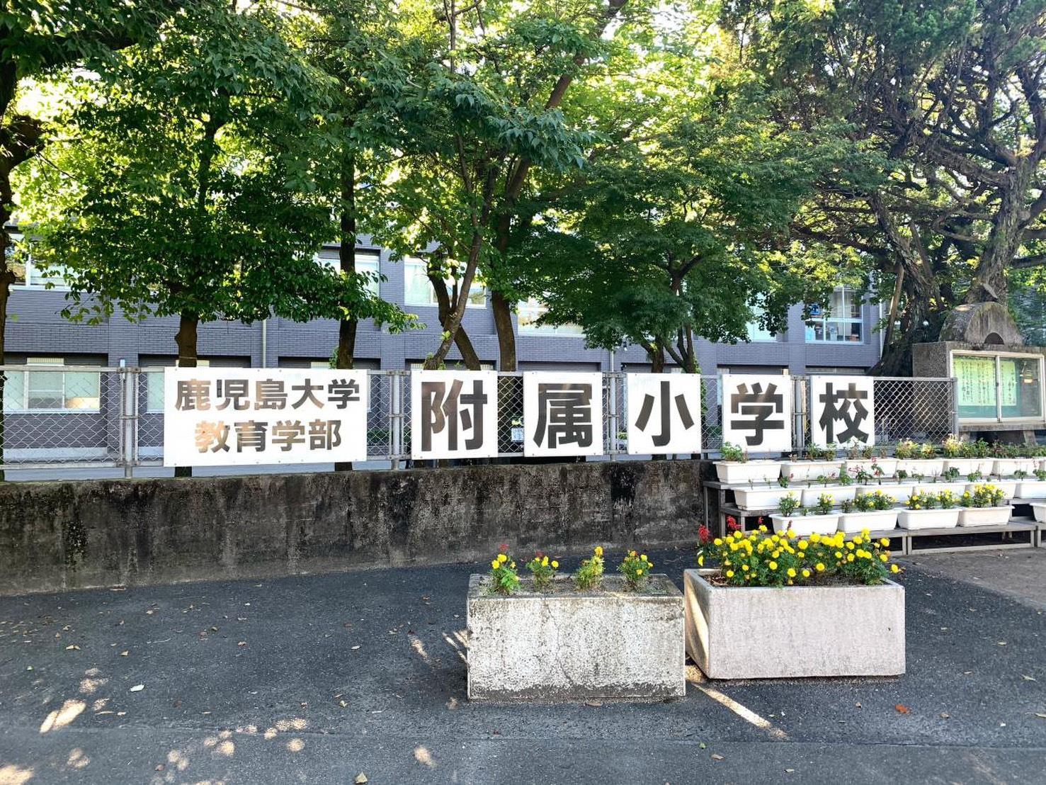 小学校　国立鹿児島大学教育学部附属小学校（小学校）まで951m