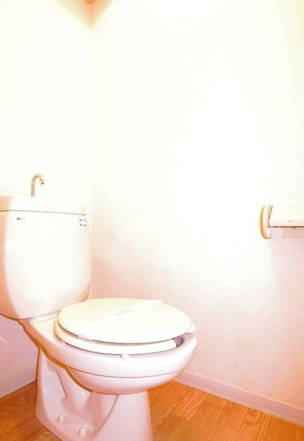 ヴィラ恋ヶ窪のトイレ写真