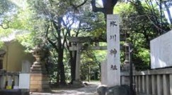 その他　赤坂氷川神社（その他）まで236m