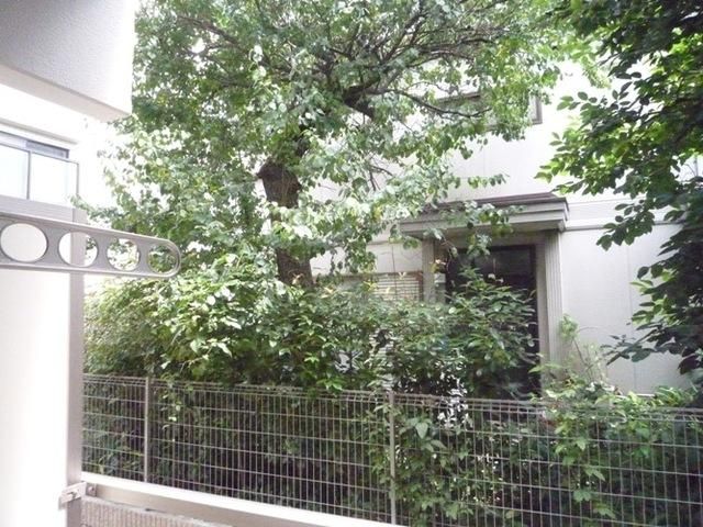 グリーンパルのその他写真