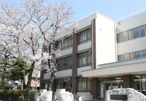 小学校　板橋区立志村坂下小学校（小学校）まで261m