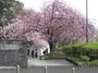 公園　榴岡公園（公園）まで650m