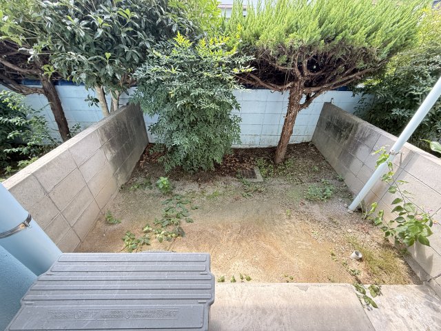 庭