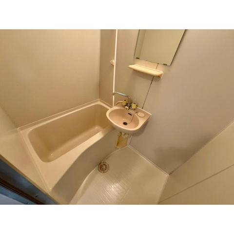 バス・シャワールーム　※写真は同じマンションの違う部屋のもの(反転タイプ)
