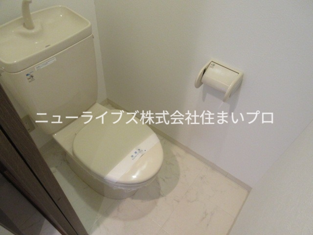 トレビアン天神マンション2のトイレ写真