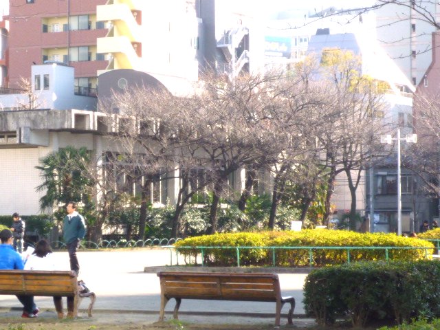 公園　錦糸公園（公園）まで632m