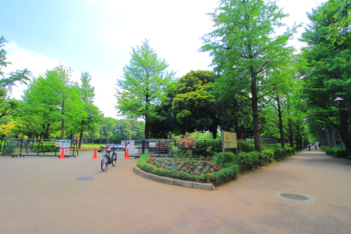 公園　城北中央公園（公園）まで300m