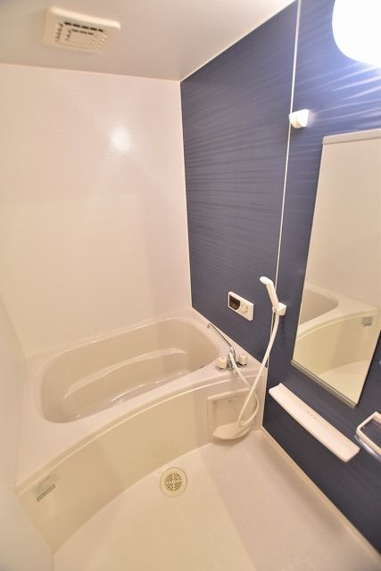 カーサ イリーデIの風呂写真