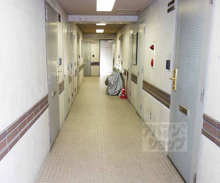 エグゼ東山の外観写真