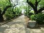 公園　新井薬師公園（公園）まで204m