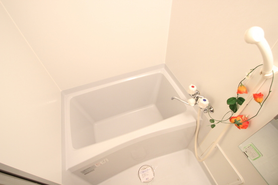 バス・シャワールーム　※別部屋の写真です