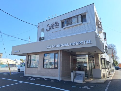 病院　斉藤動物病院（病院）まで406m