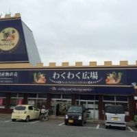 スーパー　わくわく広場野田店（スーパー）まで891m