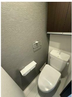 トイレ　※同施工タイプ