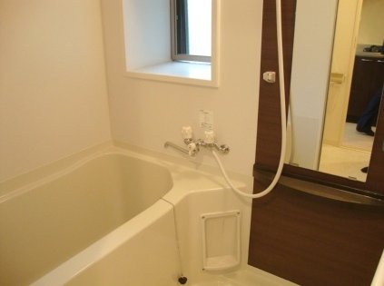 バス・シャワールーム　エステムプラザ難波ＥＡＳＴIIブレスト　浴室