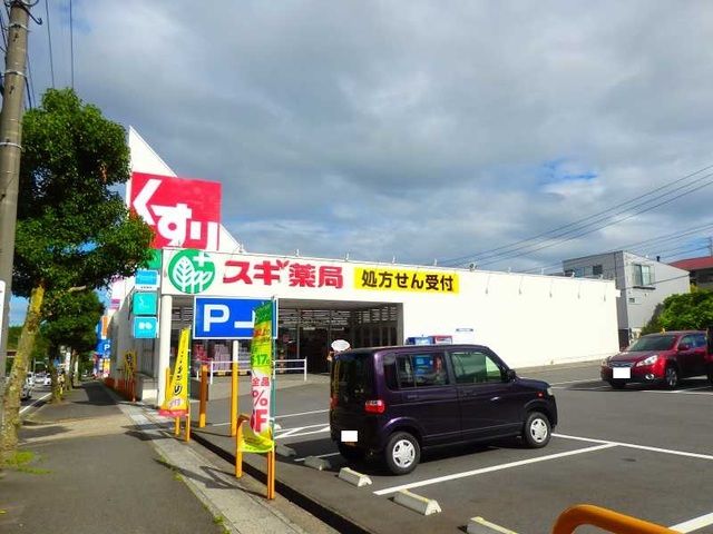 ドラックストア　スギ薬局大山田店（ドラッグストア）まで300m
