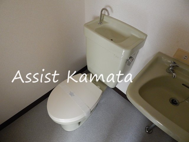 トイレ　写真は同タイプの別号室です