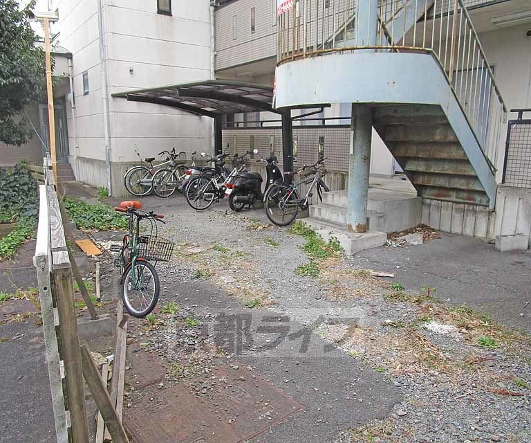 庭