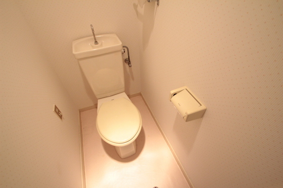 トイレ　※別部屋の写真です