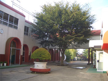 幼稚園・保育園　南柏幼稚園（幼稚園・保育園）まで562m