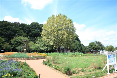 公園　中原ふれあい防災公園（公園）まで2604m