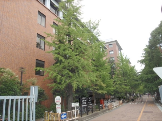 大学・短大　京都大学農学部（大学・短大）まで1180m