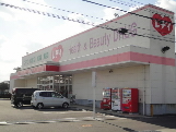 ドラックストア　レデイ薬局円座店（ドラッグストア）まで1463m