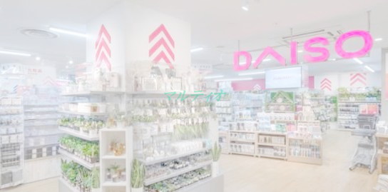 その他　ザ・ダイソー DAISO イオン東雲店（その他）まで1701m