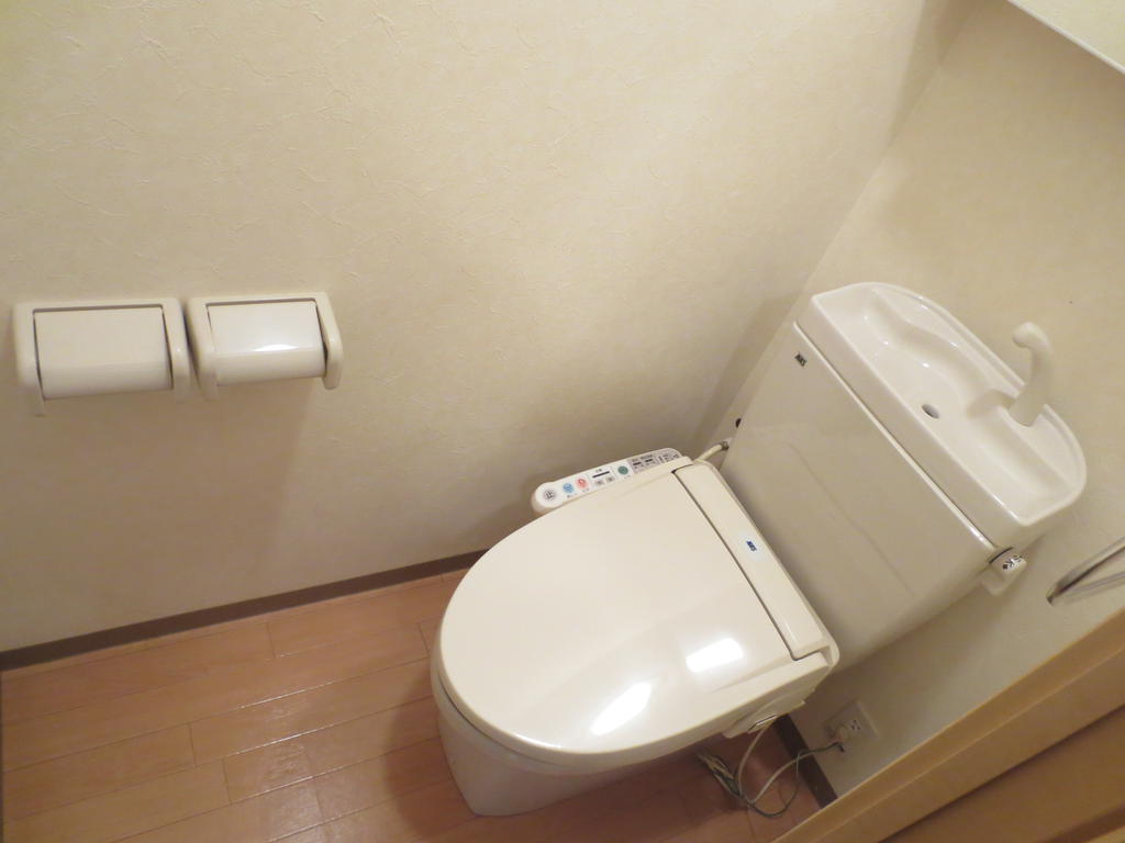 ＪＲ常磐線 佐和駅 徒歩16分 2階建 築17年のトイレ写真