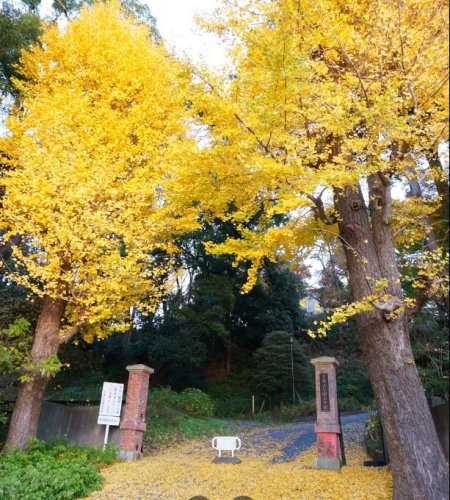 大学・短大　千葉大学 松戸キャンパス（大学・短大）まで1601m
