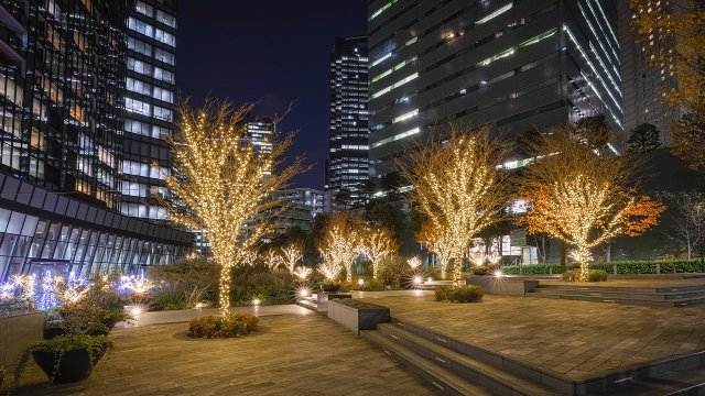 【セントラルパークタワー・ラ・トゥール新宿の庭】