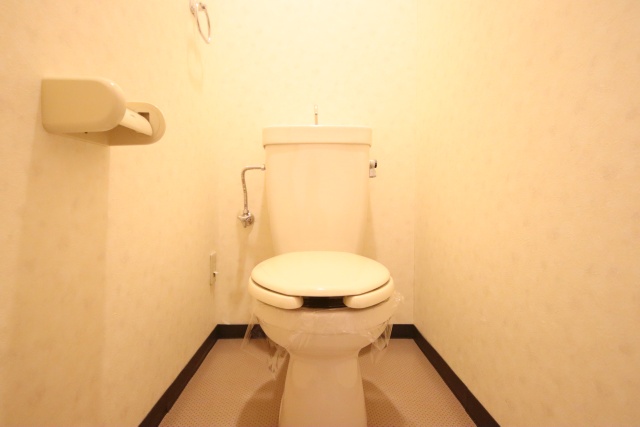 トイレ　※別部屋の参考写真の為、原状優先です。