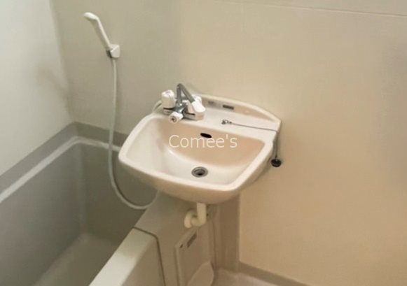 洗面設備　洗面台はバスルームに設置されています