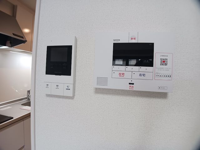 リッシュのその他写真