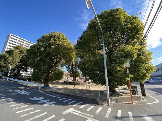 その他　天王田公園（その他）まで591m
