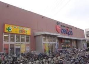 ドラックストア　どらっぐぱぱすセルカ高砂店（ドラッグストア）まで790m