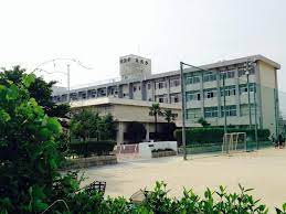 小学校　岡山市立大元小学校（小学校）まで798m