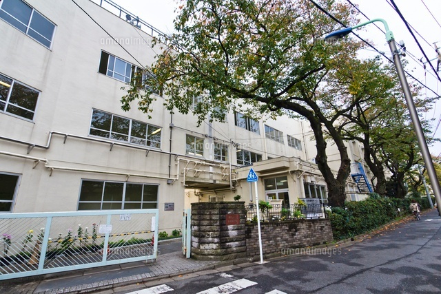 小学校　練馬区立小竹小学校（小学校）まで302m
