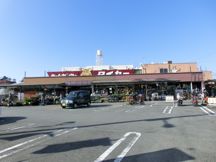 ホームセンター　タイセイ（ホームセンター）まで272m