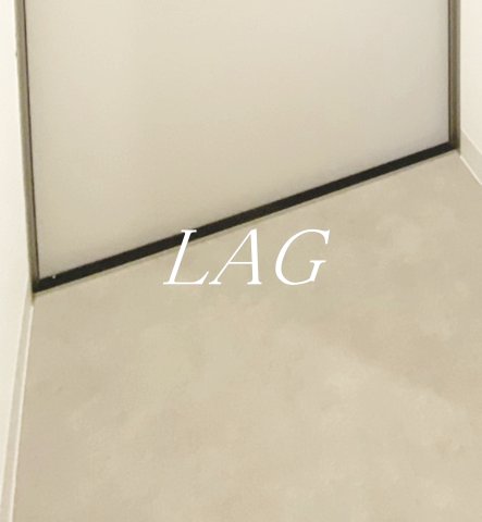 玄関　玄関です。（同仕様です。）