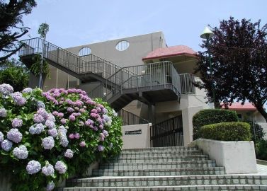 幼稚園・保育園　たちばな保育園（幼稚園・保育園）まで337m