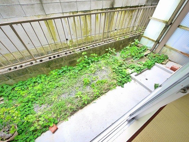 庭　簡単な家庭菜園も楽しめるお庭です