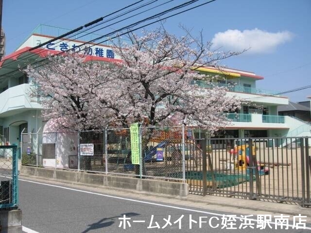 幼稚園・保育園　ときわ幼稚園（幼稚園・保育園）まで244m