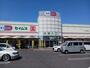 ドラックストア　セイムスサファ福山店（ドラッグストア）まで550m