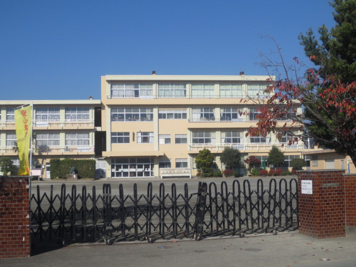 小学校　桜井小学校（小学校）まで505m