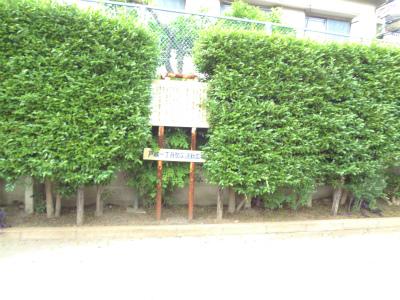 公園　品川区立戸越一丁目防災活動広場（公園）まで106m