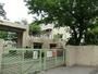 中学校　川口市立仲町中学校（中学校）まで726m